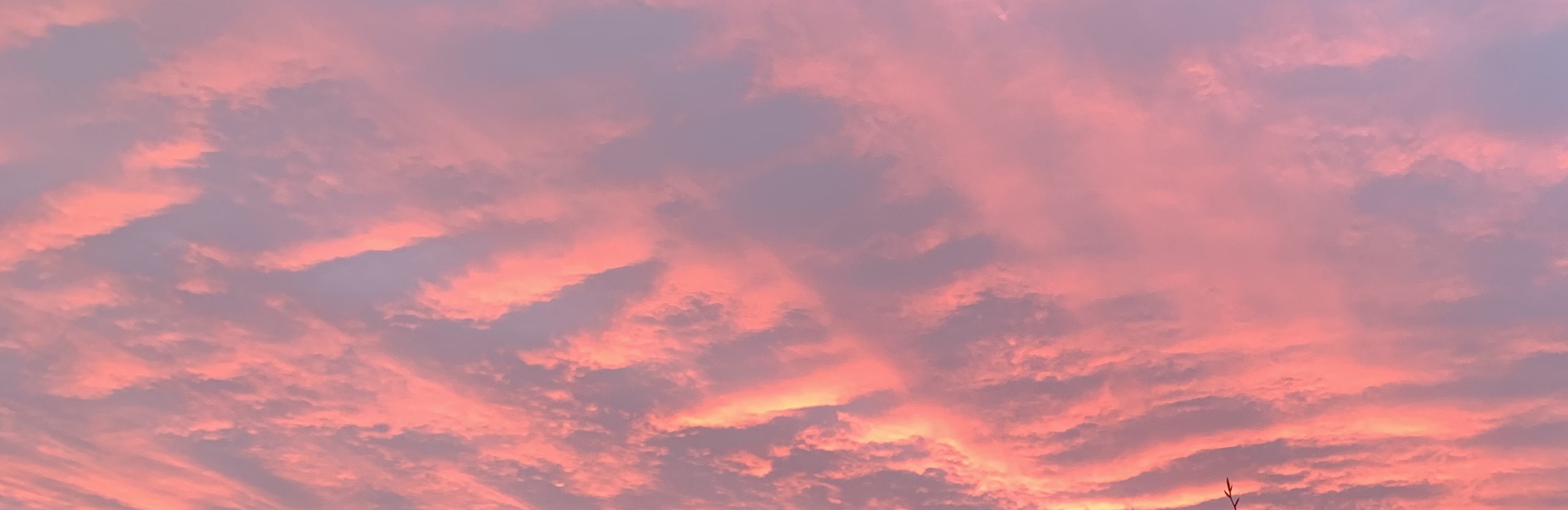 Soft pink and purple sunset sky